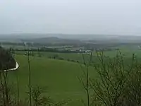 View of rolling agricultural fields and hedgerows under an overcast sky