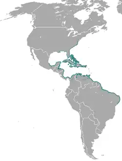 Distribución de T. manatus