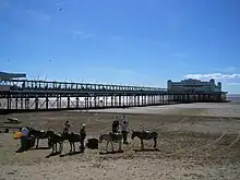 Largo paseo apoyado sobre postes de metal enterrados en la arena, que lleva hasta un edificio pintado de blanco. En primer plano hay los burros en la arena.