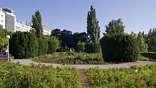 Rosarium Wettsteinpark de Viena en Viena.