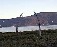 Costillas de ballenas del paseo de las ballenas