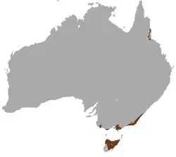 Mapa de distribución de Sminthopsis leucopus