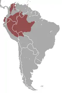 Distribución del capuchino de frente blanca