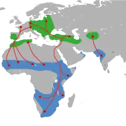 Distribución y migración