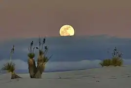 Moonrise En Arenas Blancas Monumento Nacional en Nuevo México