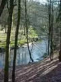 El Bille, que forma el límite norte del Sachsenwald, cerca de Witzhave