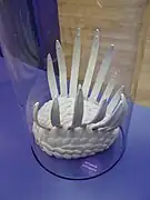 Reconstrucción de Wiwaxia corrugata en el Real Instituto Belga de Ciencias Naturales.