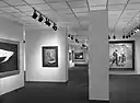 Museo Brooklyn