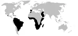 Área de distribución de Amphisbaenia