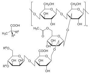 Imagen de la estructura