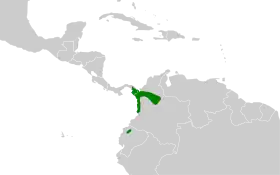 Distribución geográfica del colagrís norteño.