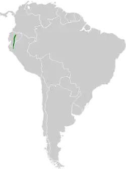 Distribución geográfica del colagrís sureño.