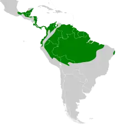 Distribución geográfica del picolezna liso.