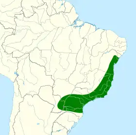 Distribución geográfica del picolezna menudo (excluyendo los grupos genibarbis y mexicanus).