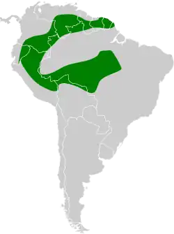 Distribución geográfica del picolezna picofino.