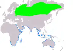 Distribución de Xenus cinereus