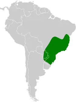 Distribución geográfica del trepatroncos gorgiblanco.