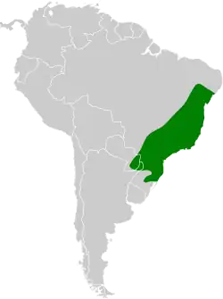 Distribución geográfica del trepatroncos enano.