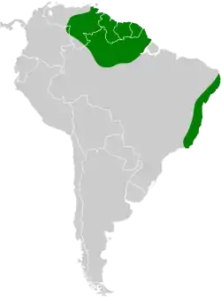 Distribución geográfica del trepatroncos pegón.