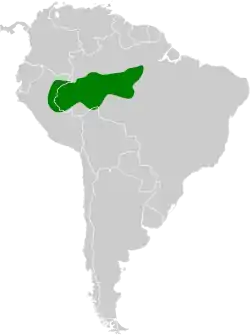 Distribución geográfica del trepatroncos ocelado (excluyendo los grupos chunchotambo y beauperthuysii).