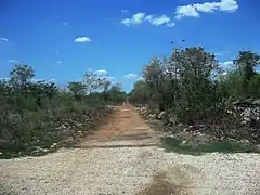 Antigua vía del tren hacia Mérida.