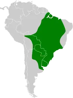 Distribución geográfica de la monjita gris.