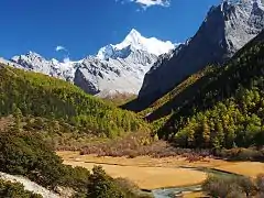 Pastizales de Chonggu y estribaciones cubiertas de coníferas del monte Chanadorje, cubiertas de nieve en el fondo. Cordillera de Yading.