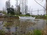 Criadero de ranas para consumo, se utiliza una bolsa plástica dentro de una laguna en Hubei, China