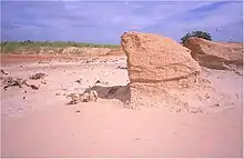 Arenisca tallada por el viento en un reventón cerca de Meadow, Texas (Stout, 2002).