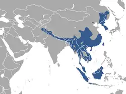 Distribución de la marta de garganta amarilla