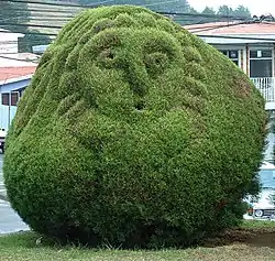 Figura antropomórfica en el parque topiario, creada por Evangelista Blanco Brenes.