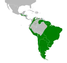 Distribución del chingolo