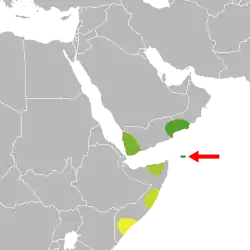 alt=     Zygocarpum coeruleum
     Zygocarpum dhofarense
     Zygocarpum yemenense
     Zygocarpum somalense
     Zygocarpum gillettii
     Zygocarpum rectangulare