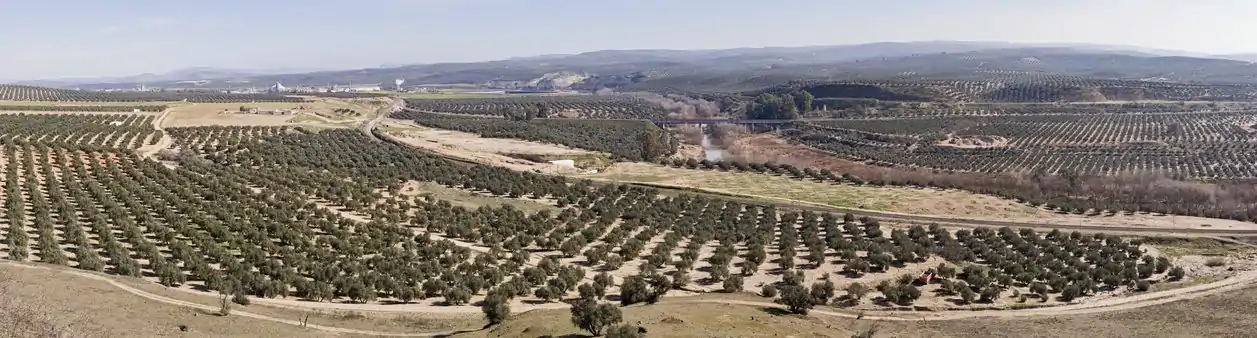 Vista panorámica del entorno de Cástulo, junto al Guadalimar