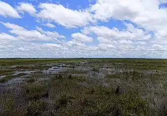 Depresión leve en la tierra donde se aposenta el agua en época de lluvia