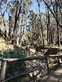 Sendero al interior del Bosquecillo.