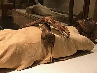 Égypte,_Le_Caire,_Musée_des_Antiquités_Égyptiennes,_Momie_de_Ramsès_IV_(49593651862)
