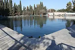 Arboreto de Mardakán.