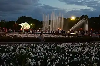Campo de flores y fuentes