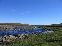 Río