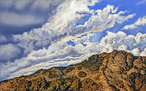 Tierra del Este Museu Nacional d'Art de Catalunya