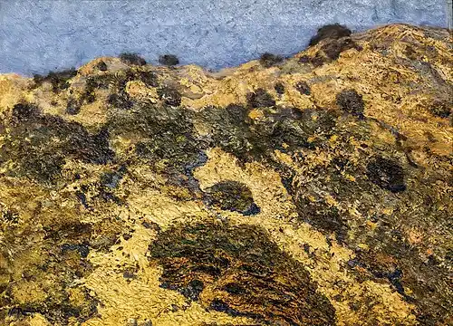 Terrers (Montgat) Museu Nacional d'Art de Catalunya