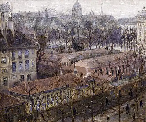 Vista aérea de un trocito de París (invierno, día de niebla) al Museu Nacional d'Art de Catalunya