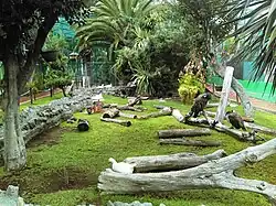 Bioparque de Convivencia Infantil de Pachuca