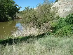 Río Duero a la izquierda (su margen derecha), los Cortados a la derecha y entre medias el sendero oculto por los árboles