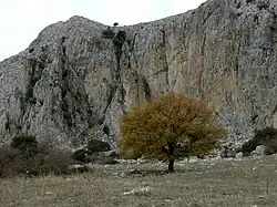 Sierra de Camarolos