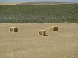 Tierras que pertenecieron al poblado de Quintanas