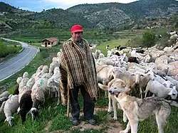 Paisaje humano en Puebla de San Miguel (Valencia), con detalle de la ermita de San Roque al fondo (2007).