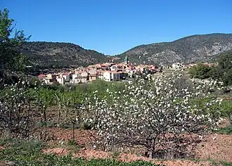 Vista general (meridional) de Puebla de San Miguel, desde el camino de Sesga (2015).