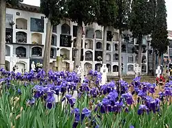 Vista interior del cementerio municipal de Torrebaja, con detalle de lirios en flor y nichos al fondo (2008).